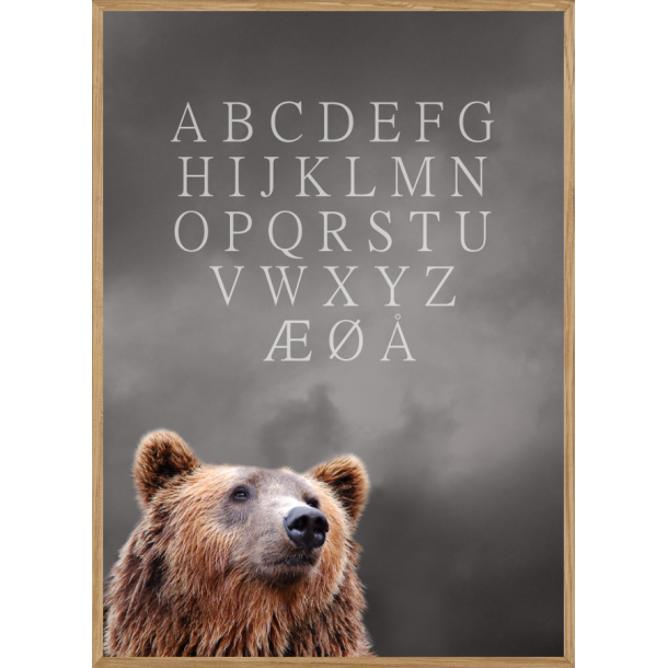 BEAR ALPHABET - BRNEPLAKAT