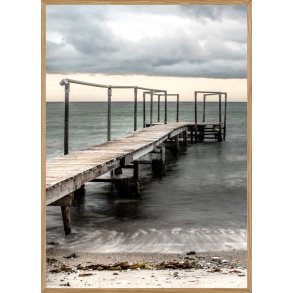 NYBORG - NATURPLAKAT