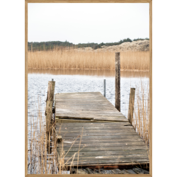 NYMINDEGAB - NATURPLAKAT