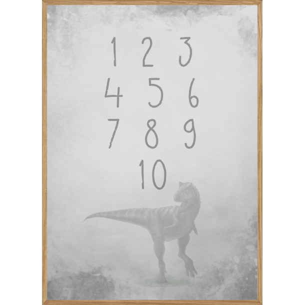 GREY DINOSAUR NUMBERS - BRNEPLAKAT