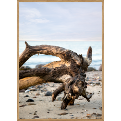 DRIVTMMER - NATURPLAKAT