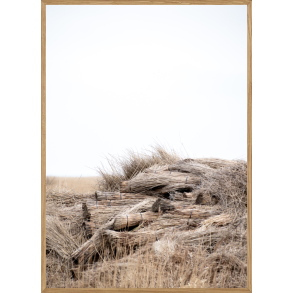 TKKERR - NATURPLAKAT