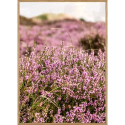 FAN� LYNG - NATURPLAKAT