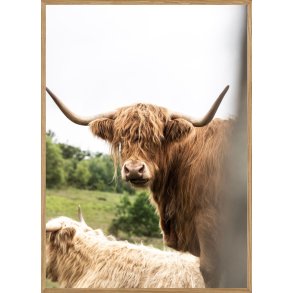 HJLANDS KVG - NATURPLAKAT