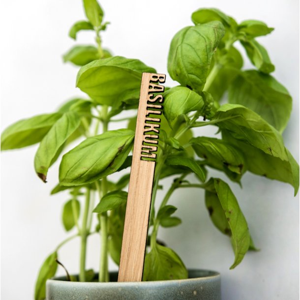 Krydderurte sticks - st