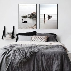 SORT SVANE - NATURPLAKAT MED DYR