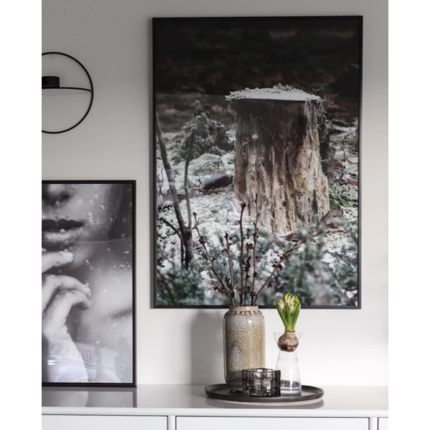 TRSTUB - NATURPLAKAT