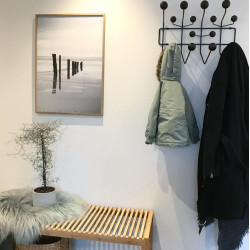 BRSMOSE STRAND - NATURPLAKAT