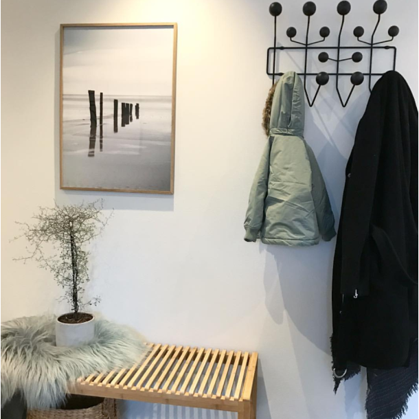 BRSMOSE STRAND - NATURPLAKAT