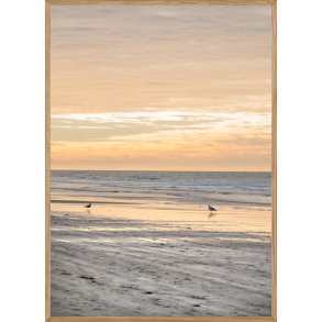 VEJERS STRAND - NATURPLAKAT