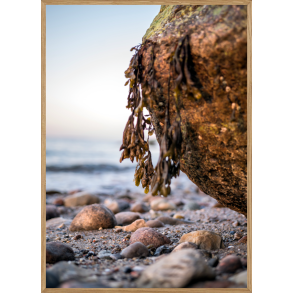 FREDFYLDT - NATURPLAKAT