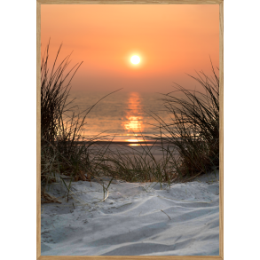 SOLNEDGANG - NATURPLAKAT