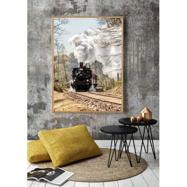 BRYRUP DAMPTOG - NATURPLAKAT