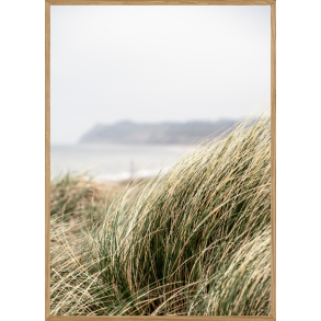 MAREHALM - NATURPLAKAT