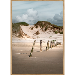 BRSMOSE PLE  - NATURPLAKAT