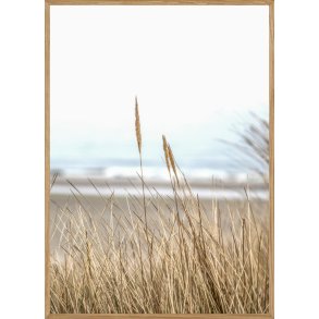 STRANDSTR - NATURPLAKAT