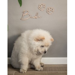 Hundeskilt type 1 inkl. udskrede poter