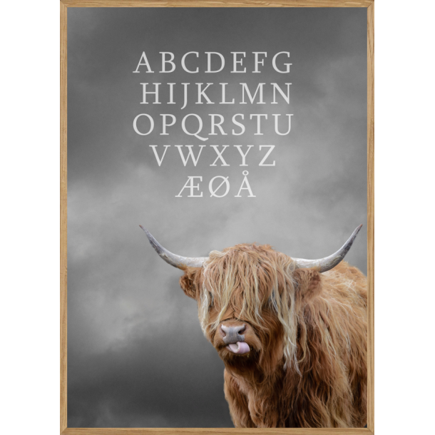 CATTLE ABC - BRNEPLAKAT