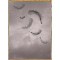 FEATHER - BRNEPLAKAT