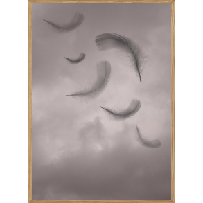 FEATHER - BRNEPLAKAT
