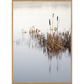 FROSSEN S - NATURPLAKAT