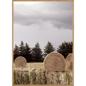 RUNDBALLER - NATURPLAKAT