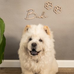 Hundeskilt type 1 inkl. udskrede poter