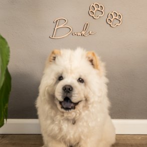 Hundeskilt type 1 inkl. udskrede poter