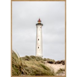 LYNGVIG FYR - NATURPLAKAT