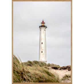 LYNGVIG FYR - NATURPLAKAT