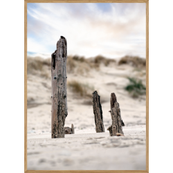 STRANDPLE - NATURPLAKAT