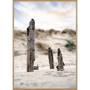 STRANDPLE - NATURPLAKAT