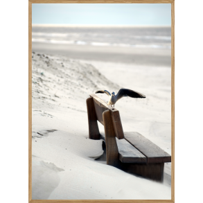 HENNE STRAND - NATURPLAKAT MED DYR