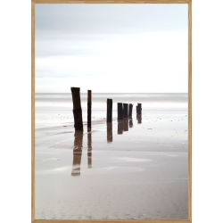 BRSMOSE STRAND - NATURPLAKAT