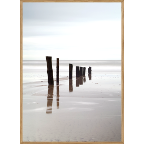 BRSMOSE STRAND - NATURPLAKAT