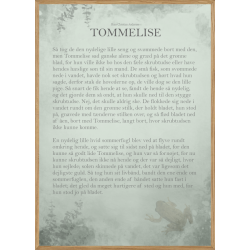 TOMMELISE - THE STORY