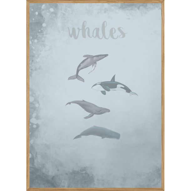 WHALES BLUE - BRNEPLAKAT